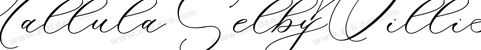 Tallula SelbyWillis aged 4字体转换